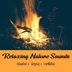 Calming Crackling Campfire (No Birds For Sleep) | One Hour