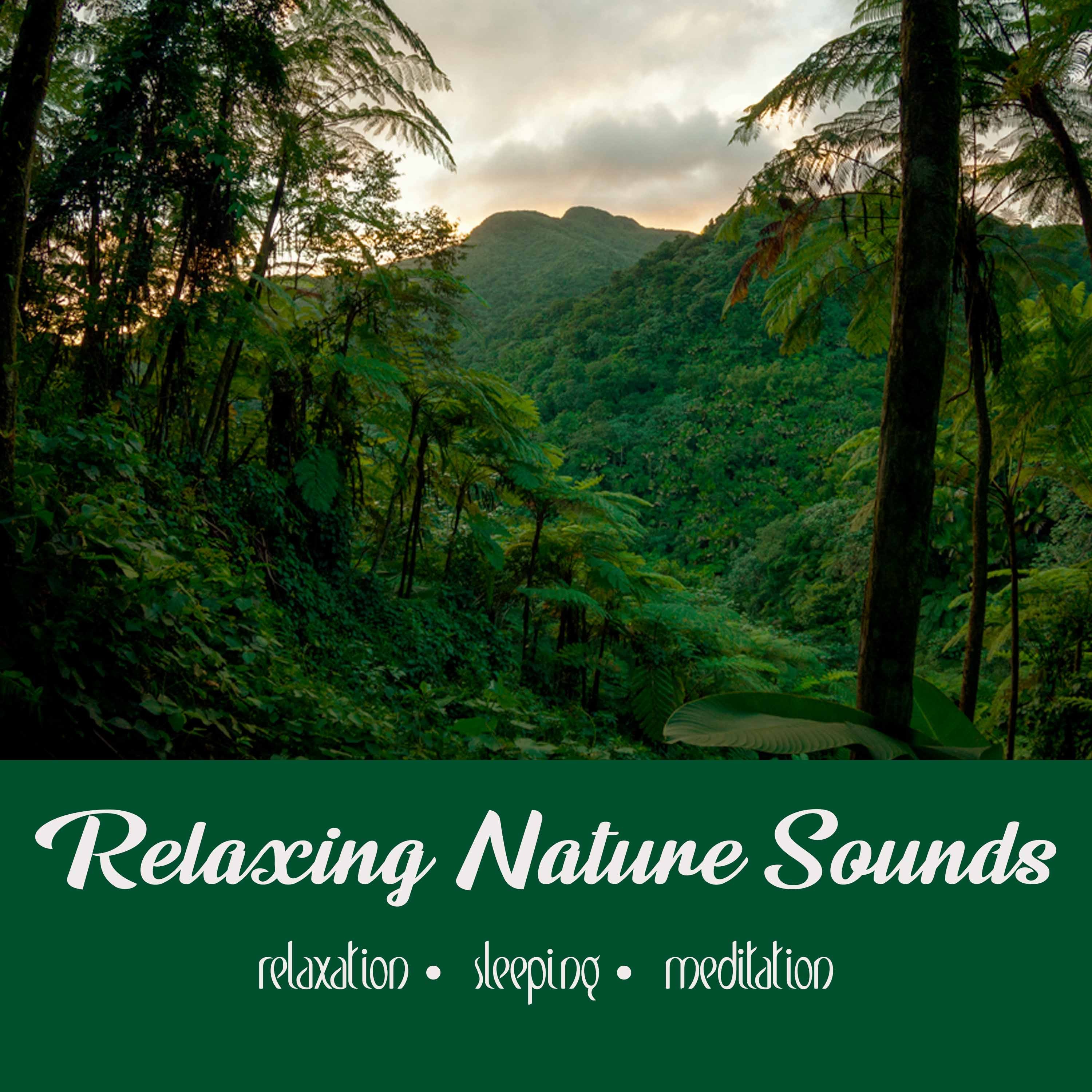 Relaxing Nature Sounds