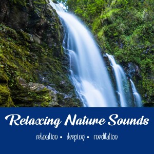 Waterfall & Bird Songs | One Hour