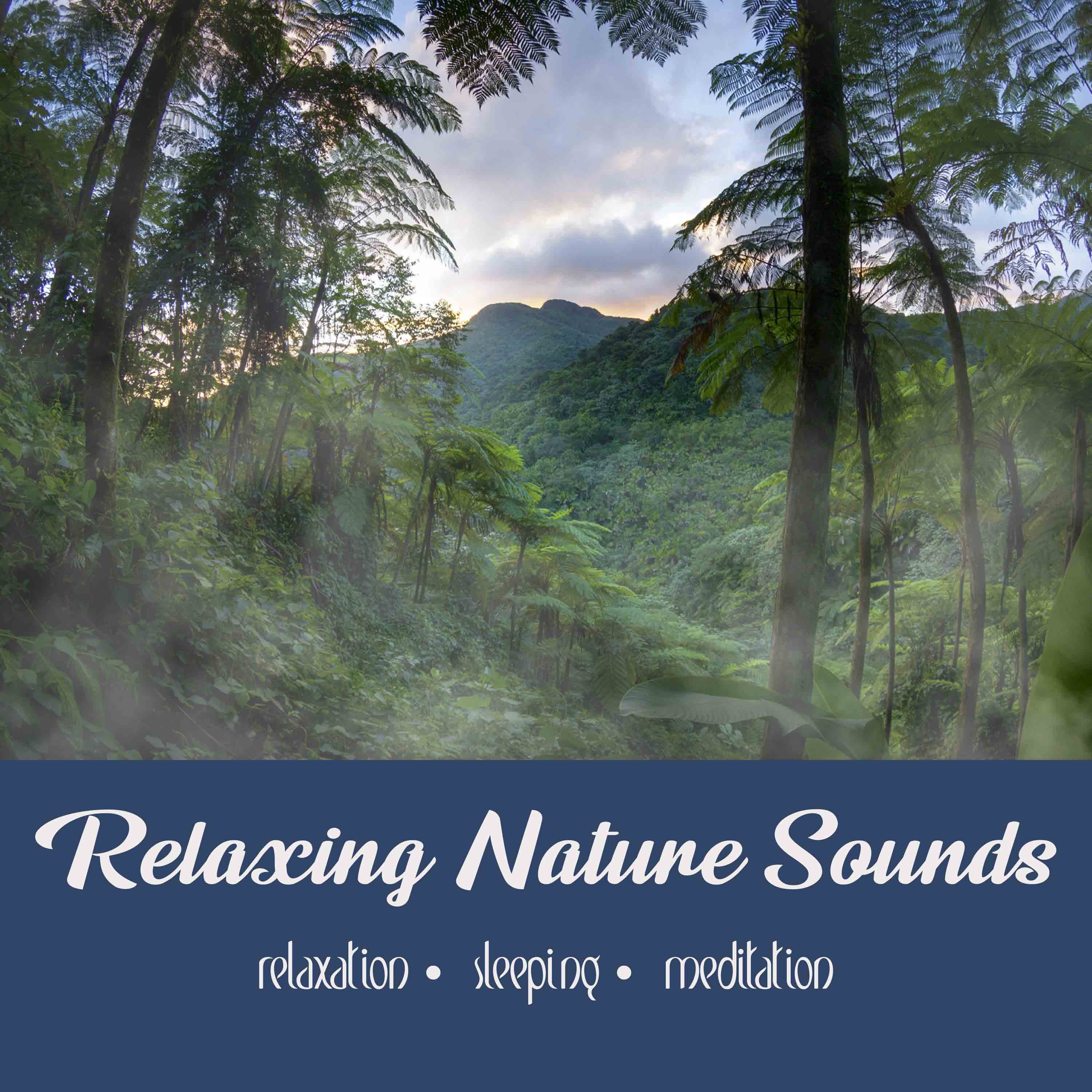 Relaxing Nature Sounds