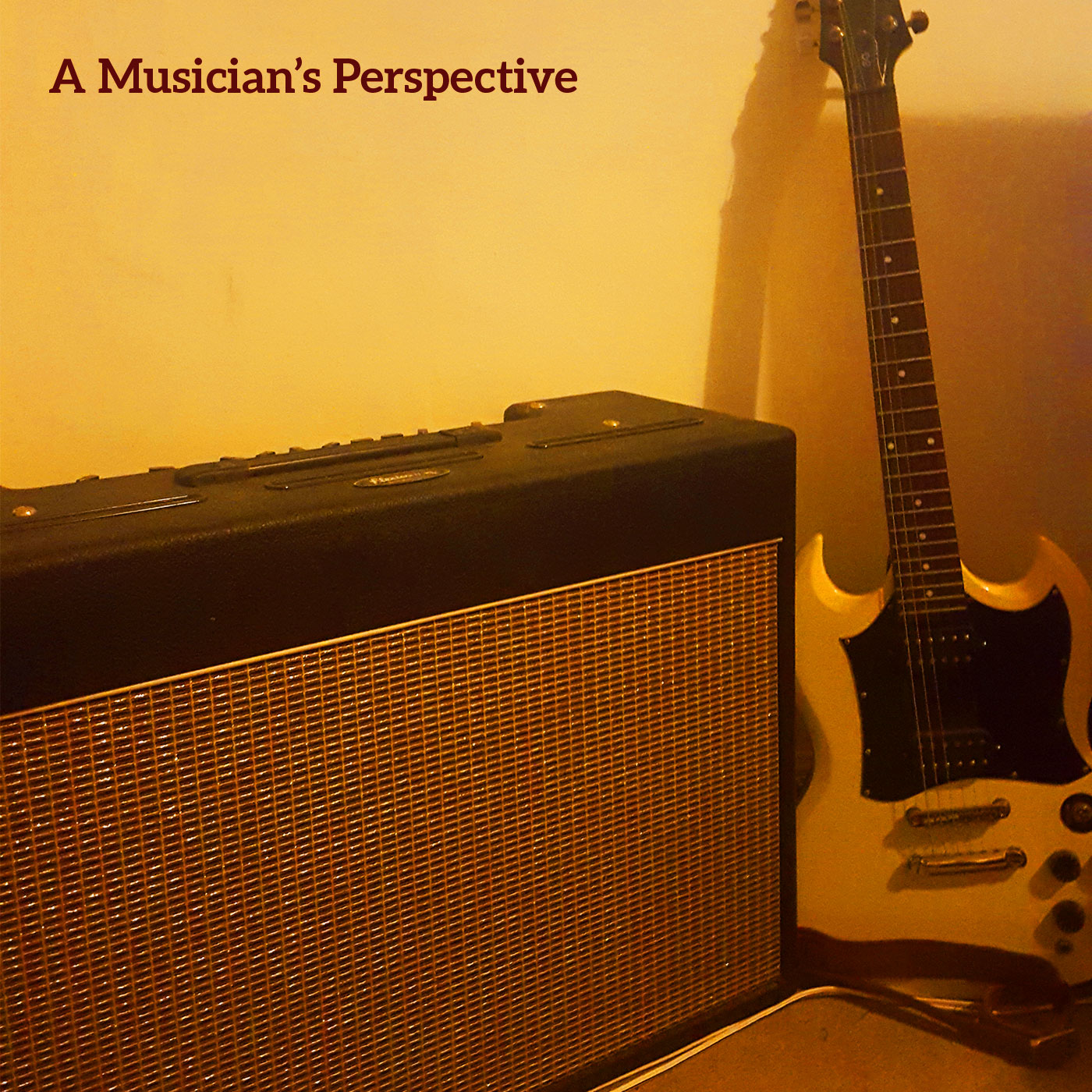 A Musician's Perspecitve