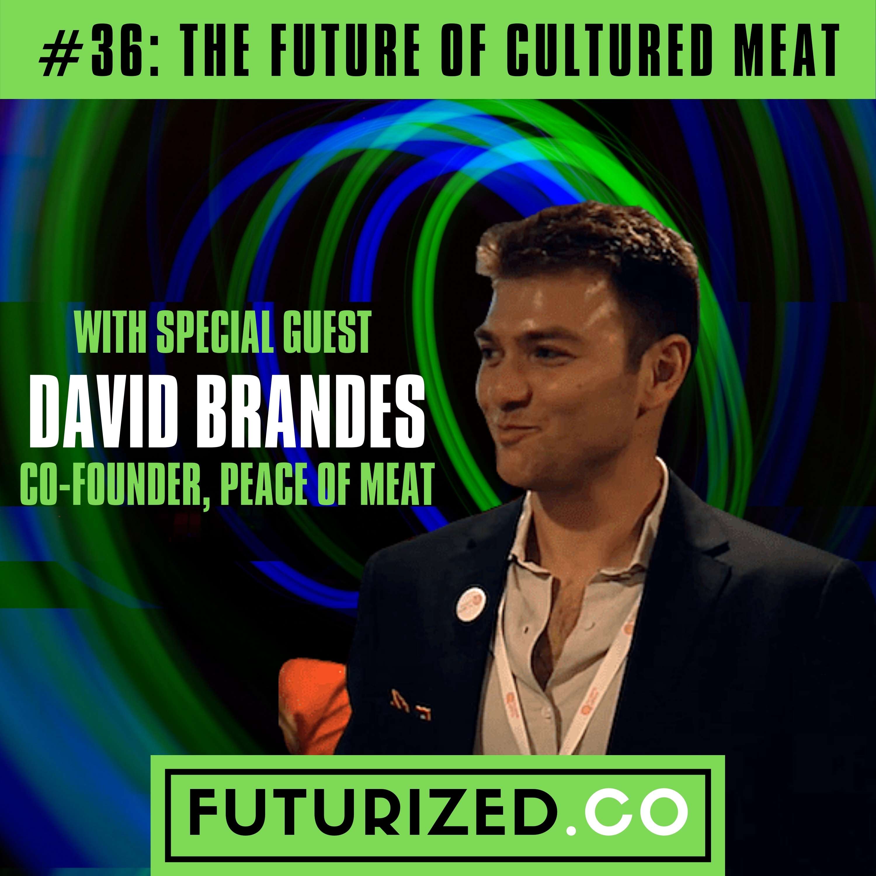 The Future of Cultured Meat Image