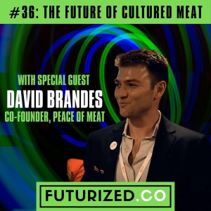 The Future of Cultured Meat