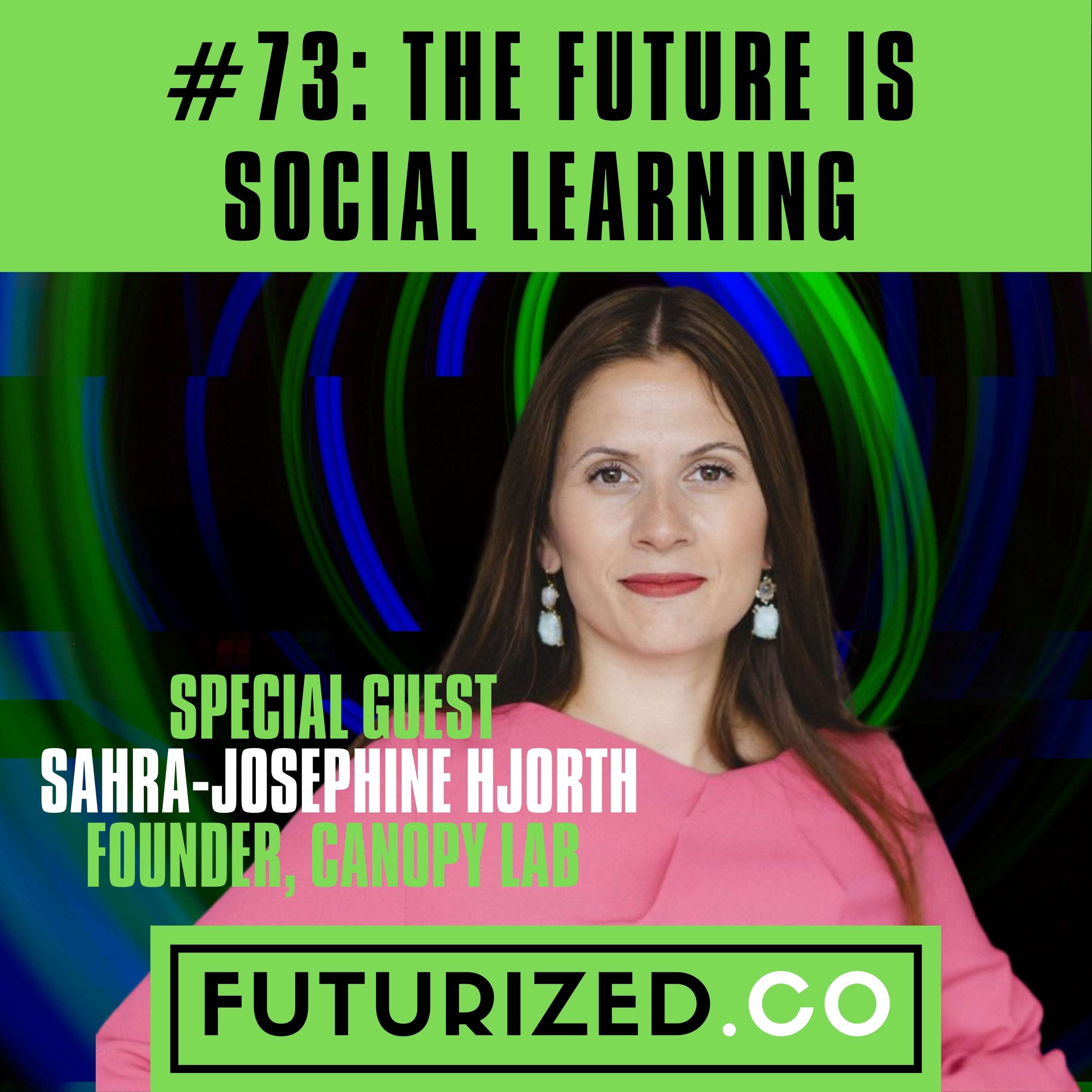 The Future of Social Learning Image
