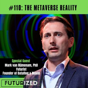 The Metaverse Reality