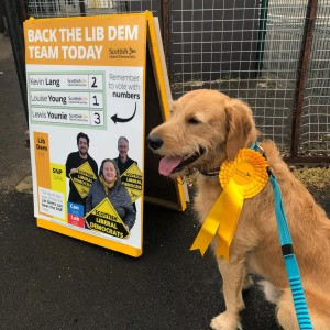 What should Lib Dems make of the 2022 local elections?