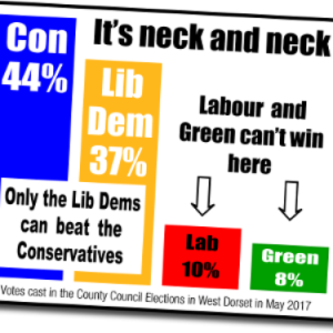 Unleash the bar charts! Tactical voting and the next general election