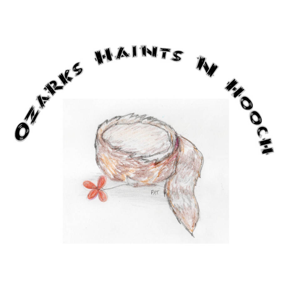 Ozarks Haints N Hooch Episode 5.5 - The Lost Boy of the Ozarks thumbnail
