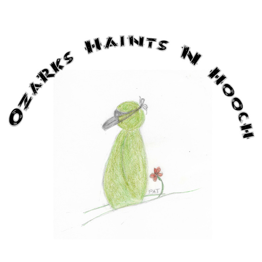 Ozarks Haints N Hooch Season 6 Episode 10 - The Green Space Penguins of Tuscumbia, MO thumbnail