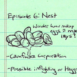 Para.docx episode 6: Nest