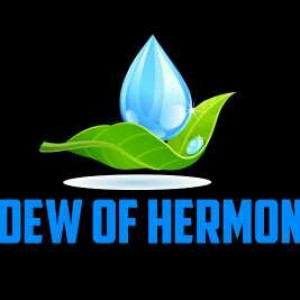 DEW OF HERMON (Making a difference).m4a