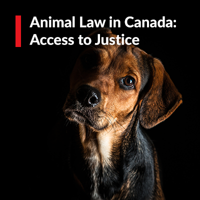 Animal Law In Canada Access To Justice