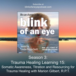 #143 - Somatic Awareness, Titration and Resourcing for Trauma Healing with Marion Gilbert, R.P.T.