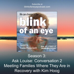 #149 - Meeting Families Where They Are in Recovery with Kim Hoog