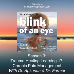 #145 - Chronic Pain Management with Dr. Vania Apkarian and Dr. Melissa Farmer