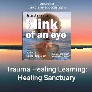#65 - Healing Sanctuary