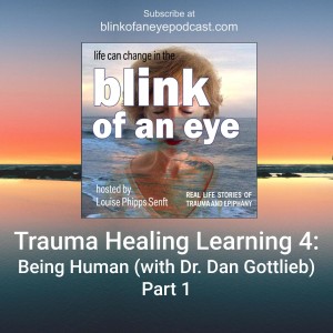 #119 - Being Human Part 1 (with Dan Gottlieb, PhD)