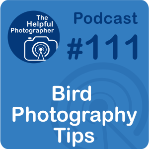 111: Four Bird Basic Photography Tips