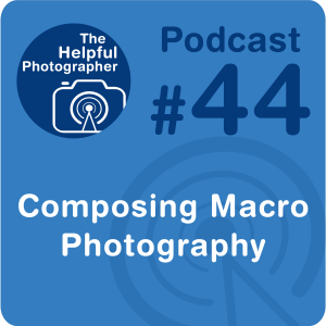 44: Composing Macro Photography