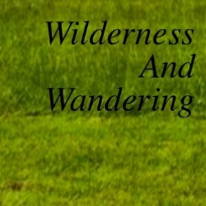 Wilderness and Wandering (Week 6 w/ Eric Tomeo)