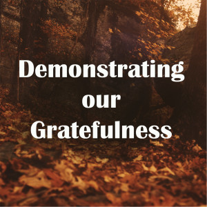 Demonstrating our Gratefulness