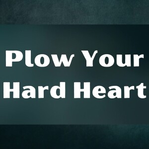 Plow Your Hard Heart