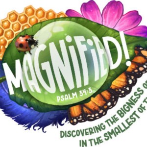 Magnified
