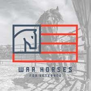 Episode 9: War Horses For Veterans with Patrick Benson