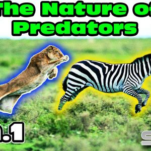 The Nature of Predators ch.154 to 158 | HFY | Science fiction Audiobook