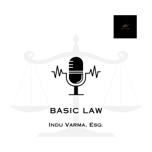 Basic Law : Patent 2