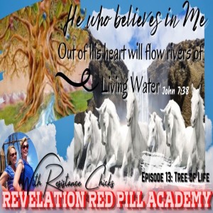 Revelation Red Pill Academy Episode 13: The Tree & Waters of Life Are For NOW!