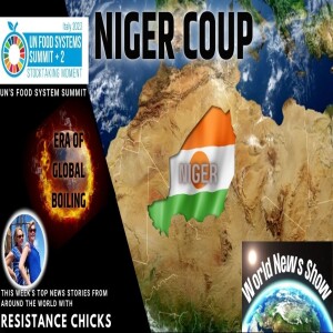 Niger Coup; Era of ”Global Boiling”; UN’s Food System Summit World News 7/30/23