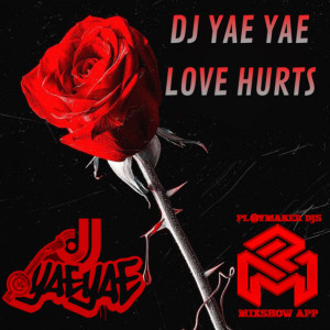 DJ Yae Yae- Love Hurts (Explicit)