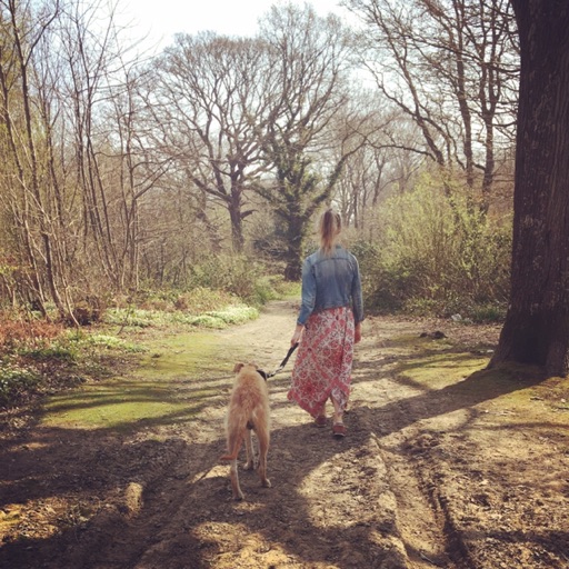Dog walking for mind body and soul.