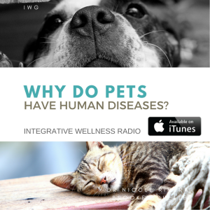 Why Do Pets Have Human Diseases?