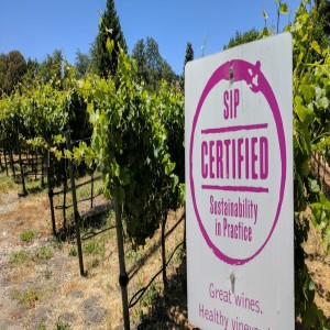 Beth Lopez, Vineyard Team and SIP Certified, on sustainable wine in California