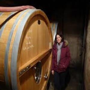 Domaine de Trévallon, legendary sustainable wine in Provence
