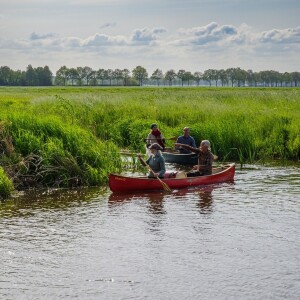 Interview met Tim Horneman,  van inhetwildeweg.nl