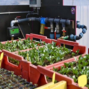 Interview met de voorzitter van St. Zonnewending John de Lange, over de Zelfoogsttuin in Eelde