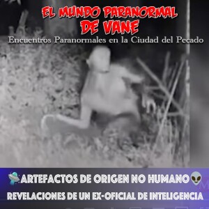 🛸Artefactos de Origen No Humano👽: Revelaciones de un Ex-Oficial de Inteligencia