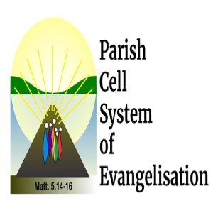 Launching Parish Cells
