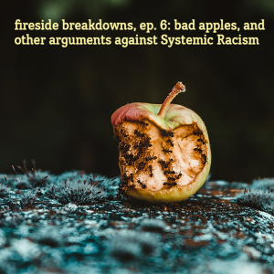 Session 6 – Bad Apples and Other Arguments Against Systemic Racism