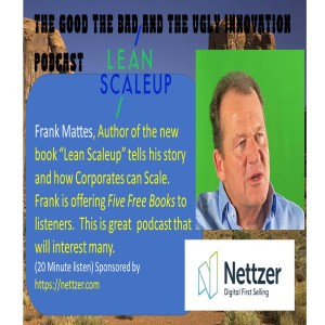 Frank Mattes - Author of "Lean Scaleup" talks about Corporate Innovation and his new book just published