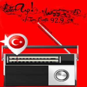 Show 345: Anatolian Rock and Psychedelic Turkish Rock