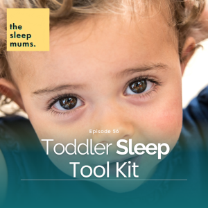 Toddler Sleep Tool Kit