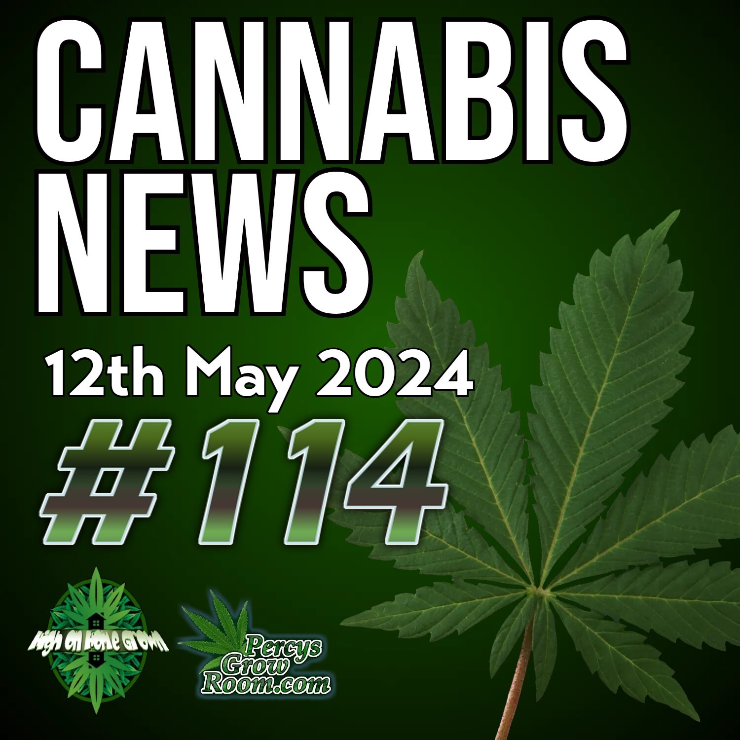 Huge Win as Manitoba Allows Home Grow | Cannabis Farm Linked to UK Political Party | Gang Raiding Cannabis Farms is Jailed | Farm Bill and Delta 8 THC | Cannabis News 114