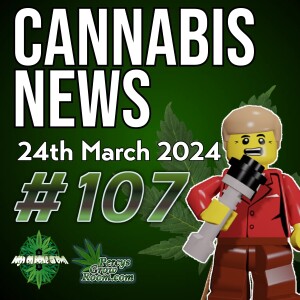 70k to Smoke Weed? Sign me up | THC Potency Often Overstated in Potential ”Lab Fraud” | Kids Hospitalised by Edibles Because of Packaging? | Updates from Germany | Cannabis News 107