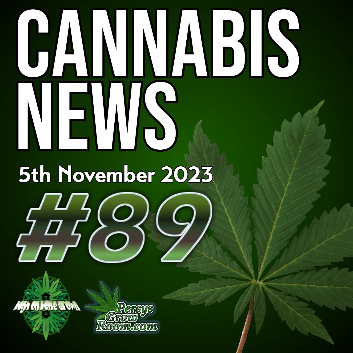 RFK Jr, Presidential Candidate Calls for Cannabis Legislation | UK Gov Responds to Experts CBD Advice | Canada Rules Cannabis Consumed as Food is not an Extract | Cannabis News Episode 89