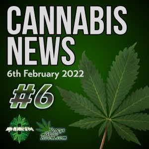 Man Amputates His Penis With Scissors Whilst High (Listeners Discretion Advised) NFL Funding Cannabis Research into Concussion, Good News from Jesse at TobaGrown