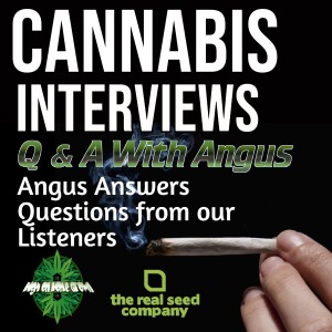 Listener Questions and Answers with Angus, from The Real Seed Company